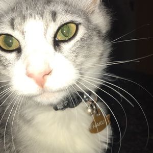 Meet your Posher, Tyler